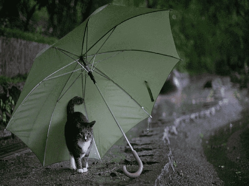 试管方案的价格（试管男的抽血）